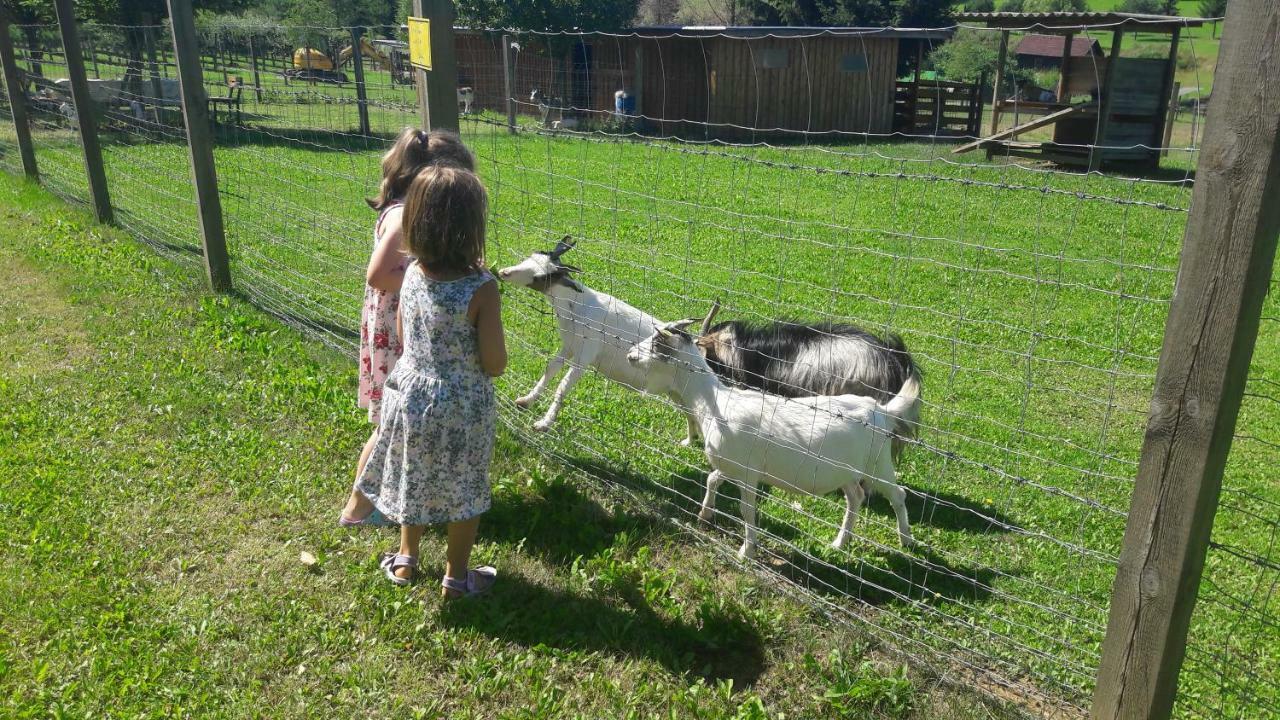 Ferienhaus Planetz Kaindorf  Zewnętrze zdjęcie