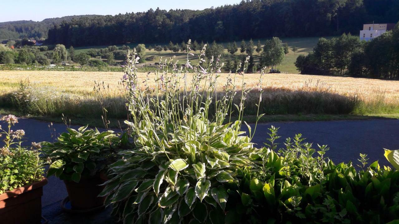 Ferienhaus Planetz Kaindorf  Zewnętrze zdjęcie